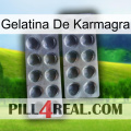 Karmagra Jelly 31